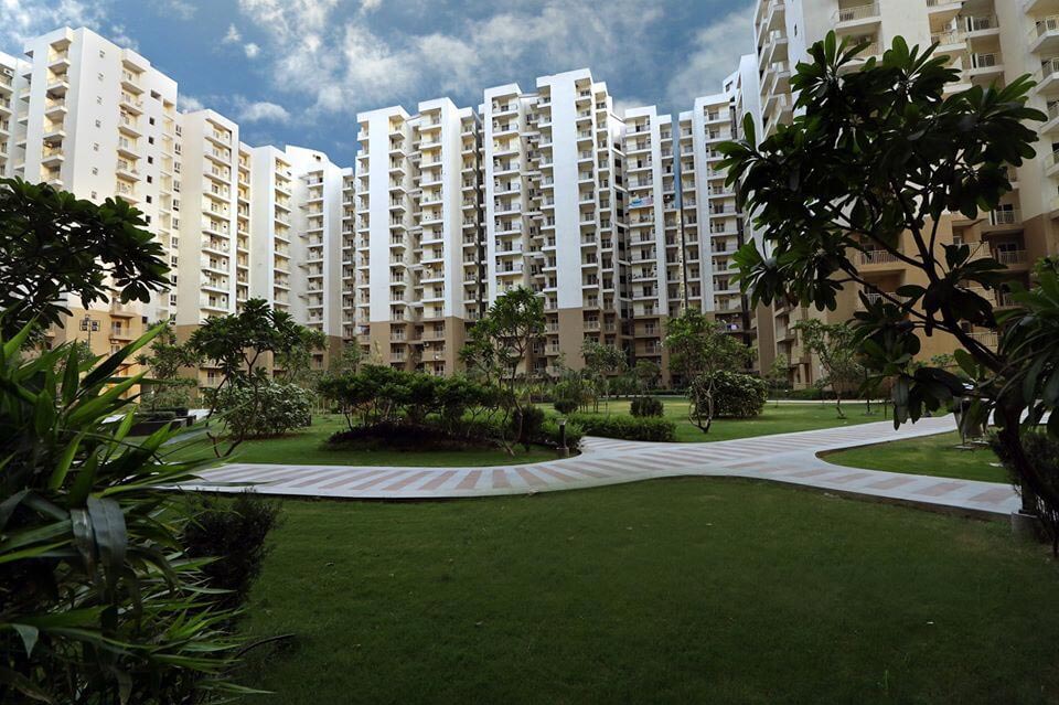 Property Amenities